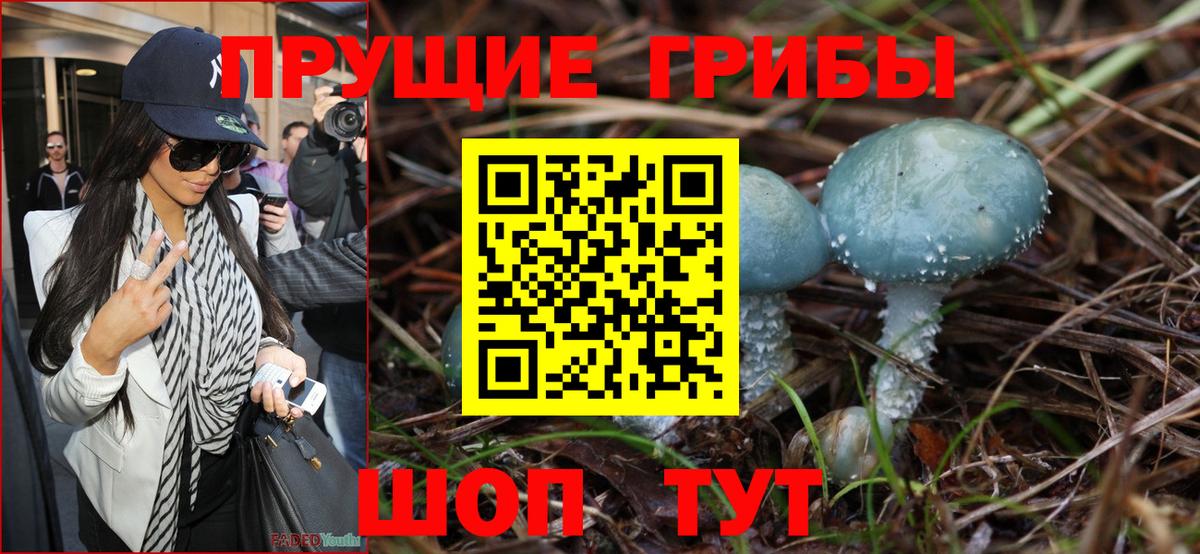 Галлюциногенные грибы MAGIC MUSHROOMS  купить наркоту  Кимовск  Вход с VPN  Псилоцибиновые грибы прущие грибы 
