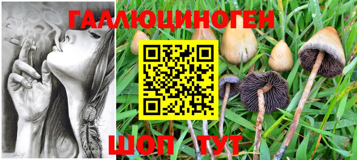 Галлюциногенные грибы GOLDEN TEACHER Кимовск