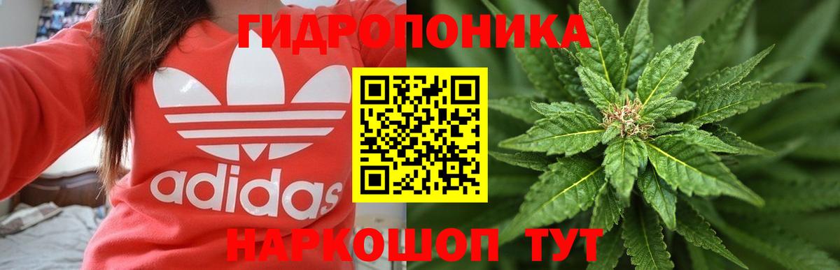Канабис Bruce Banner Кимовск